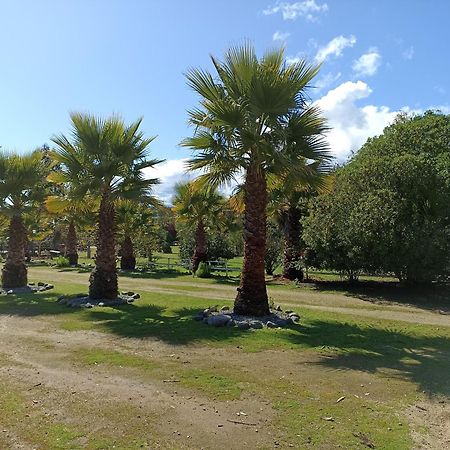 El Algarrobo Exteriör bild