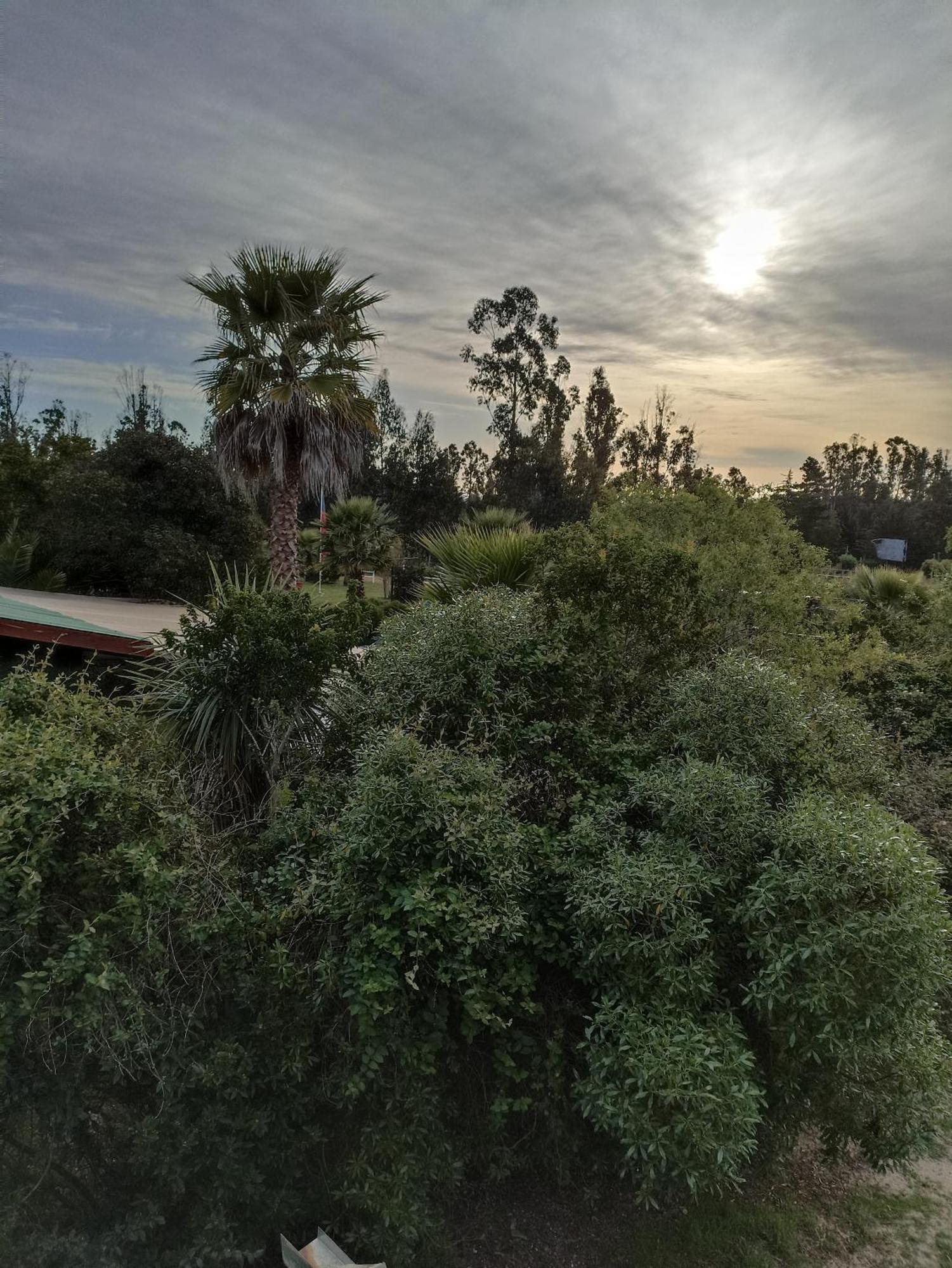 El Algarrobo Exteriör bild