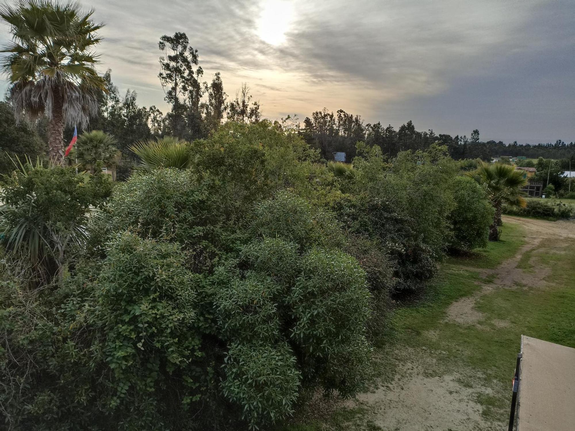 El Algarrobo Exteriör bild
