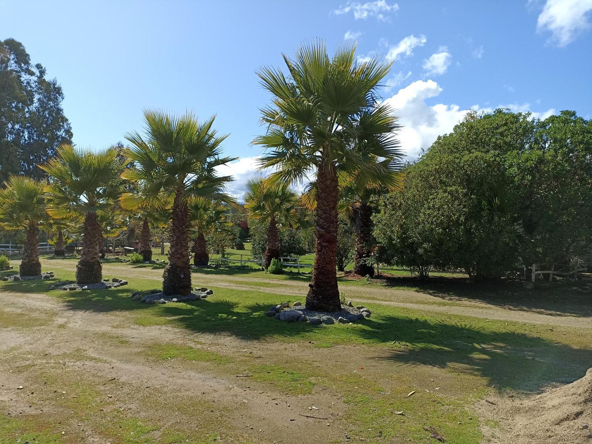 El Algarrobo Exteriör bild