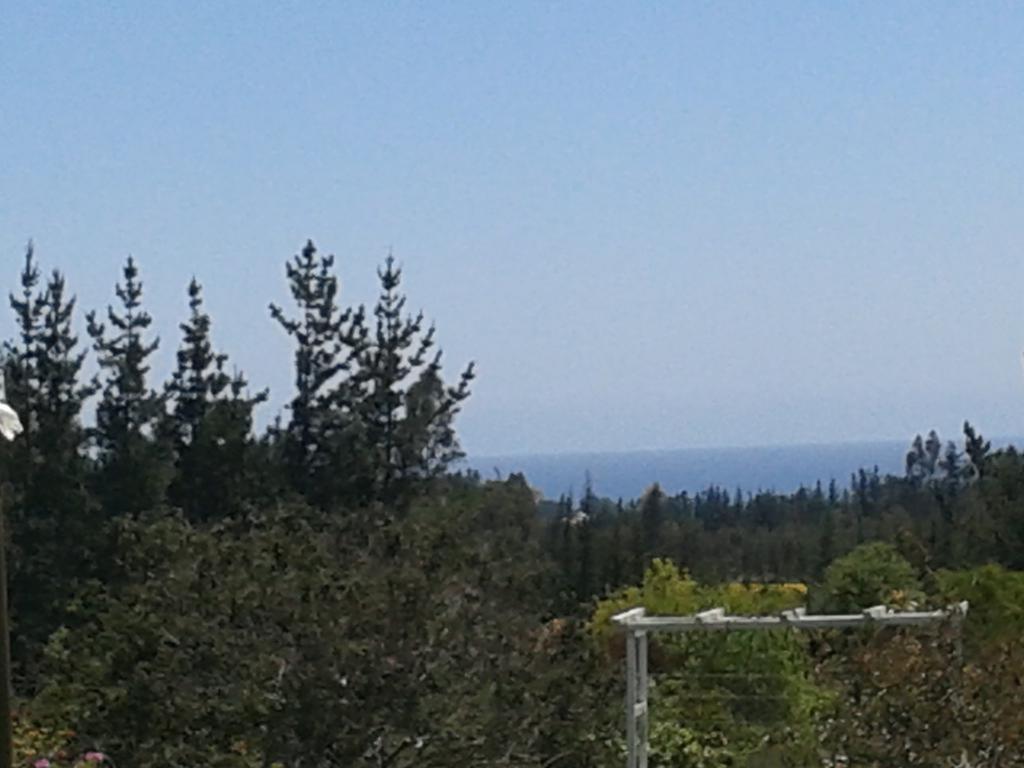 El Algarrobo Exteriör bild
