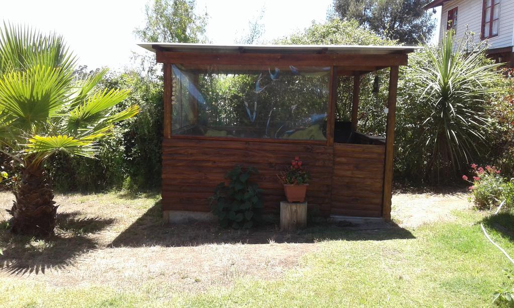 El Algarrobo Pensionat Exteriör bild