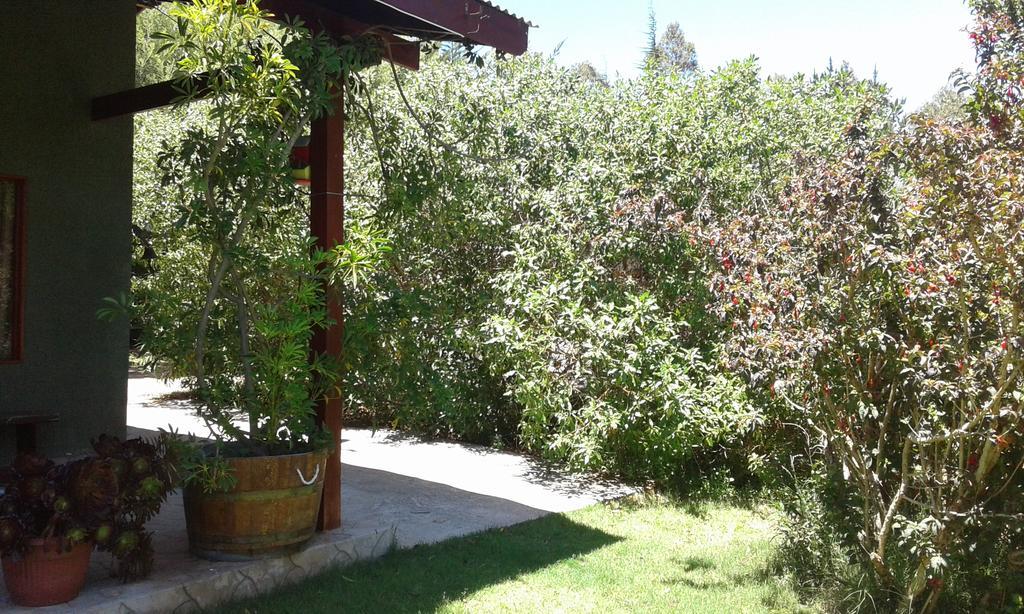 El Algarrobo Pensionat Exteriör bild