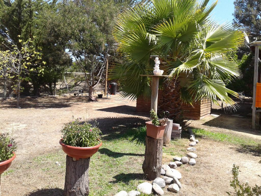 El Algarrobo Pensionat Exteriör bild