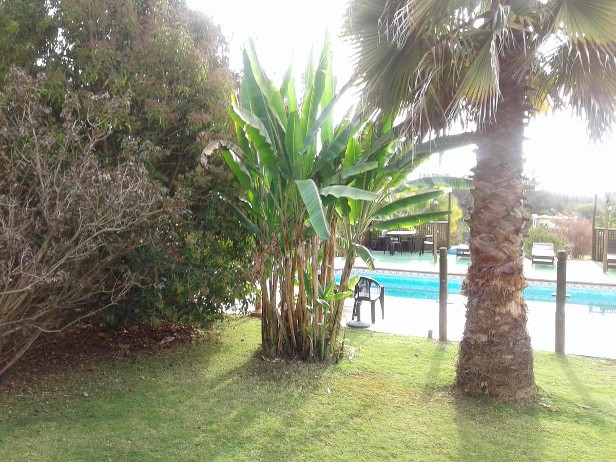 El Algarrobo Pensionat Exteriör bild
